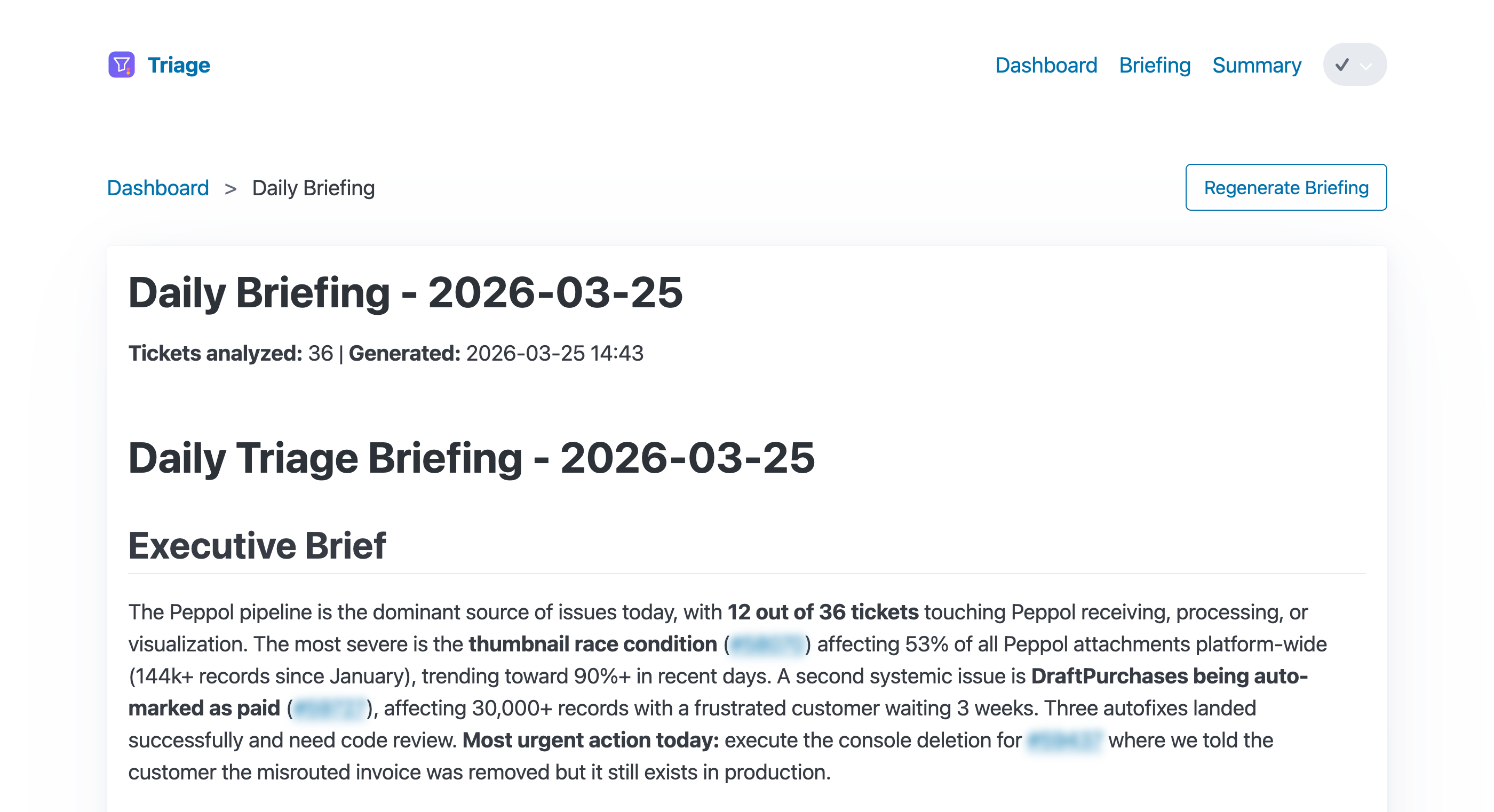 Daily briefing showing executive summary and ticket patterns
